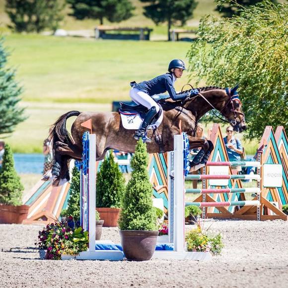 Meet your Posher, Lily - Picture 1 of 1